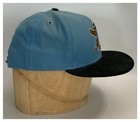 Erie Seawolves Milb New Era Baseball Hat cap Snapback Blue   minor League    m12 