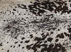 New Cowhide Rugs Area Cow Skin Leather 17 35 Sq feet  49 x51   Cow Hide U-1402