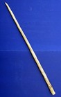 Narwhal Tusk  model  Monodon Monoceros  35 5 Inches Long  1893