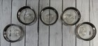 5 Queens Lusterware Shrimp Cocktail Set Dorothy Thorpe Style Silver Mercury Fade