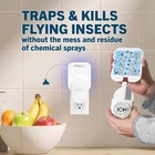 Safer Home Flying Insect Trap  Plug-in Fruit Fly Trap For Indoors  1-pack   Flyi