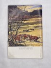 1984 Cutter Prevention   Control Of Livestock Diseases Vaccine   Supply Catalog