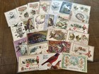 Lot Of 25 Vintage Greetings Antique postcards With Bird birds  In Sleeves-d-40
