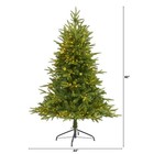 5-ft Colorado Mountain Fir Artificial Christmas Tree With 250 Clear Led Lights