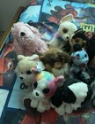 Huge Webkinz beanie Boo Lot Of 19