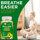 Mullein Leaf Capsules - Lung Cleanse   Cough Relief  Respiratory Health  Detox-