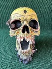 Vintage Metallica Skull Ashtray 2002 Spencer s Pushead W  Box