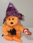 Ty Halloweenie Beanie Baby      Pocus The Bear W  Spider 5 5  Mwmts Halloween Toy