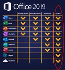Microsoft Office Pro Plus 2019 With Lifetime License 1pc  windows  Usb