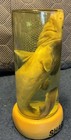 Preserved Baby Shark Wet Specimen In Glass Jar - Oddity Taxidermy
