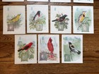 Set Of 11   Vintage 1920s Singer Sewing Machines American Song Bird Cards