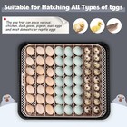 56 Egg Incubator For Hatching Eggs  Egg Candler Light   Automatic Egg Turning   
