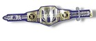 Drew Mcintyre World Heavyweights Wrestling Championship Belt Replica Adult