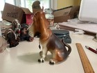 Bassett Hound 7  High