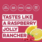Clean Simple Eats Greens Powder Sticks - Raspberry Lemonade - 3 9oz 10ct