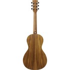 Ibanez Pf Series Pn2ws Acoustic Guitar  Open Pore Brown