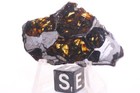 Nwa 15428 Pallasite Meteorite  Etched Full Slice Weight 7 Grams 2 Inch A   