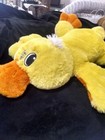 Very Rare Large Dan Dee Duck