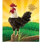 Folkmanis Rooster Hand Puppet - Realistic  Plush Farm Animal Toy