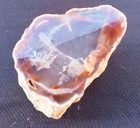 13 22 Oz Natural Opalized Mirror Polished Multicolor Petrified Wood Uv