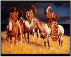 Storm Over The Plains Native American A Quilt Top Wall Hanging Panel Fabric