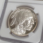 2001-p American Buffalo Silver Dollar Commemorative Ngc Pf 69 Ultra Cameo