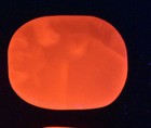 Pink Mangano Calcite Palmstone Fluorescent Uv Reactive    S5