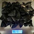 1 Lb Bulk Lot Fossilized Shark Teeth - South Carolina - Great White - Megalodon