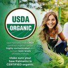 Zazzee Usda Organic Saw Palmetto 20 1 Extract  6000 Mg Strength  120 Capsules