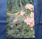 The Virgin Suicides 1999 Movie Brochure Pamphlet Program Book Sofia Coppola Used