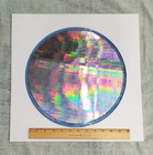 12  Silicon 300mm Semiconductor Wafer Specimen Diced Ic Chips Education Example