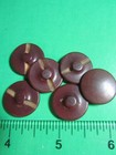  6  Vintage 3 4  Brown Vegetable Ivory Shank Buttons-m900