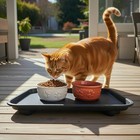 Bugsnub Ant Proof Tray - Waterless Moat Cat And Dog Food Tray For Crawling Pest