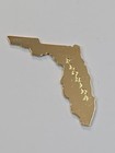 Avon State Of Florida Tie Tack Lapel Pin Gold Color Metal