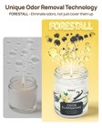Trinida Vanilla Bean Odor Eliminating Candles For Home Scented  White 