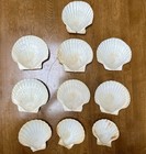 Lot Of 10 Real Scallop Clam Fan Shells Natural Large 4-5     Beach Decor Crafts