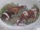 Rareantique R k  Beck Cattle Cow Pastoral Platter Bowl Charger C1910-20  lot 37 