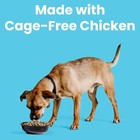 Bixbi Liberty Dry Dog Food Chicken Recipe Grain Free All Life Stages 22 Lb