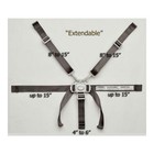 High Chair Straps  Compatible With Graco Highchairs  Replacement Hight   