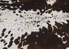 New Cowhide Rugs Area Cow Skin Leather 19 79 Sq feet  57 x50   Cow Hide U-1372