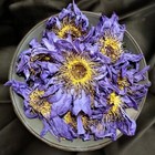 Blue Lotus Flower  nymphaea Caerulea  Dried Organic Flowers Egyptian Herbal Tea