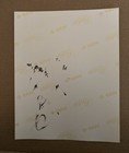 Iggy Pop virgin Records Genuine Autographed Promo Poster  Not A Reproduction 