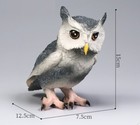 Grey Owl Bird Wild Animal Toy 5  Pvc Action Figure Doll Kids Toys Party Gifts