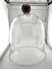 Large  13  Clear Leaf Etched Glass Cloche Bell Jar Dome Display Case Top Knob
