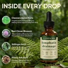 Mayaverra Lymphatic Drainage Drops Natural Herbal Formula Gluten-free Wellness