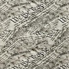 Hydrographic Film   Activator We The People Script Hydro Dip Dipping Wizard