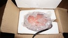 Vintage 1980   s Amber Stained Glass And Brass Turtle Night Light lamp 7 1 2  New