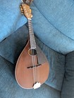 Vintage Gretsch Artist Parlor Mandolin    1930s Top Of The Line   Restored