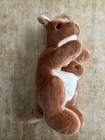 Vtg Ty Beanie Buddy 12    Pouch Kangaroo And Baby Joey 2000 Large Retired W  Tags