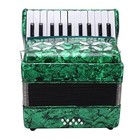 Acordeones Para Adultos  Acorde  n Professional 22 Keys 8 Bass Accordion